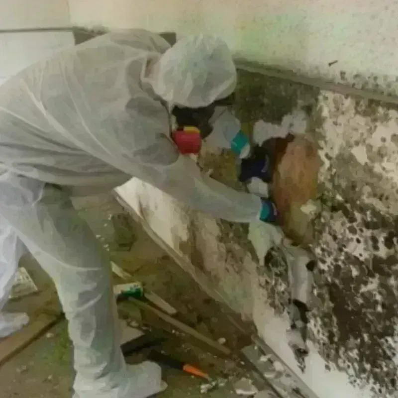 Best Mold Remediation and Removal Service in Franklin Center, NJ